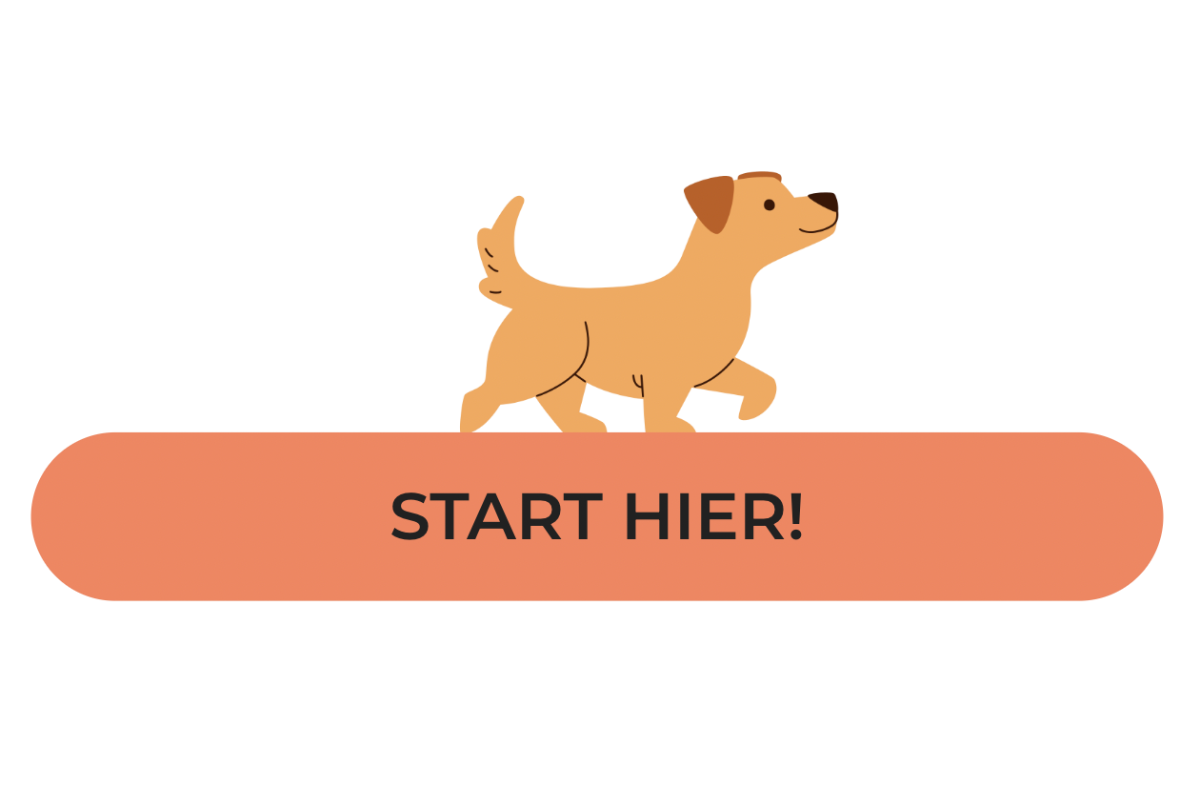 Knop blije hond training volgen actie